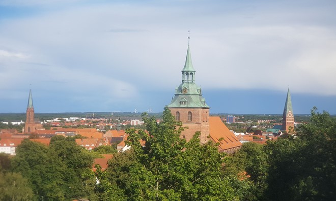 Blick vom Kalkberg auf Lüneburg