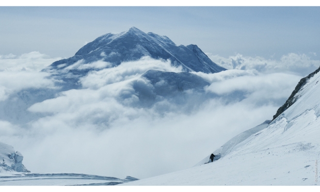 Wild Days ® L'Endroit Films