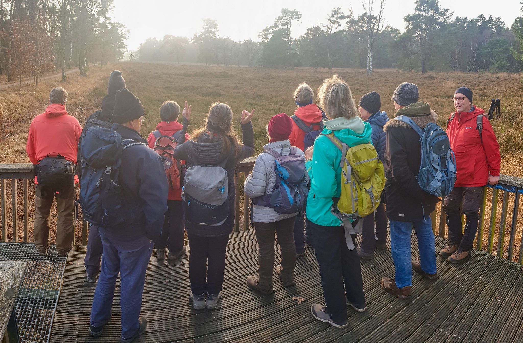 Blick auf die Heidefläche im Schnaakenmoor.....
