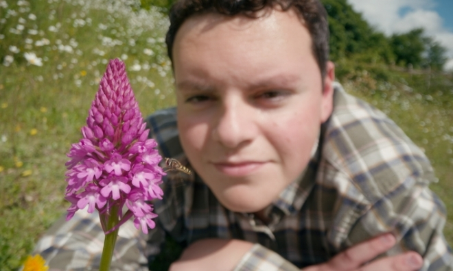 Orchids 02®Thomas Cassar