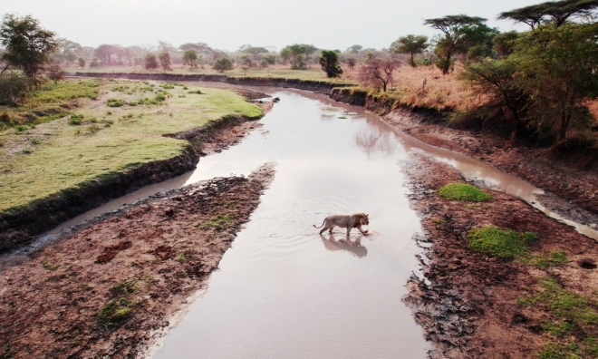 Katavi 02®Terra Mater Studios GmbH Shibumi Films Owen Pruemm