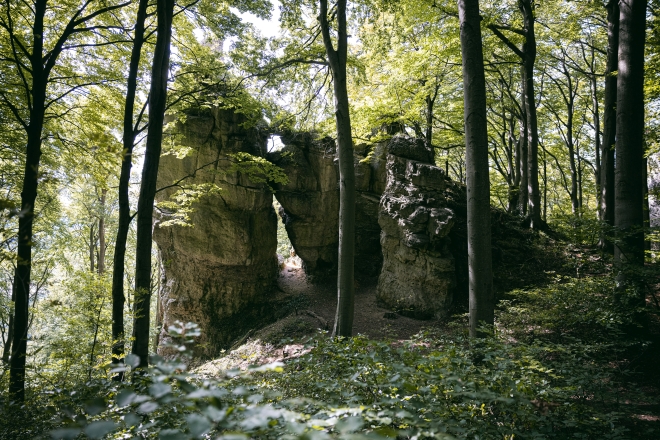 Foto: AdobeStock